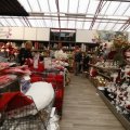 IMG_1484169