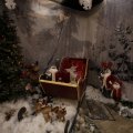 IMG_1484181