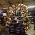 IMG_1484196