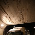 IMG_1484619