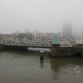 IMG_1484728