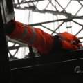 IMG_1484762