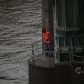 IMG_1484787
