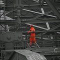 IMG_1484795