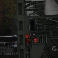 IMG_1484806