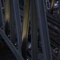 IMG_1484815