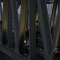 IMG_1484817