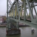 IMG_1484837