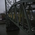 IMG_1484843