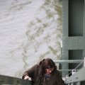 IMG_1484908