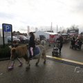 IMG_1487128