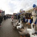 IMG_1487137