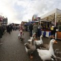 IMG_1487138