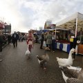 IMG_1487139
