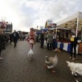 IMG_1487140