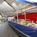 IMG_1487252