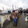 IMG_1487437