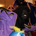 Sinterklaas Rhoon_0049