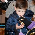 Sinterklaas Rhoon_0083