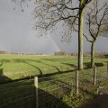IMG_1491049