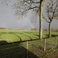 IMG_1491050