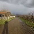 IMG_1491057