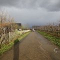 IMG_1491059