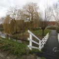 IMG_1491425