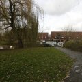 IMG_1491427