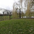 IMG_1491428