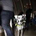 IMG_1491233