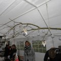 IMG_1491314