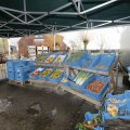 IMG_1491114