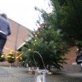 IMG_1491801