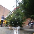 IMG_1491803