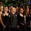 IMG_1492206