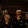 IMG_1493217