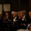 IMG_1493392