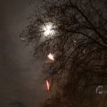 IMG_1495028