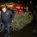 IMG_1495362