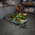 IMG_1497014