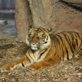 IMG_1497292