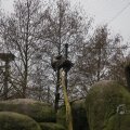 IMG_1497332