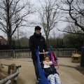 IMG_1497337