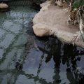 IMG_1497363