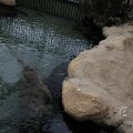 IMG_1497364