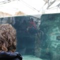 IMG_1497370