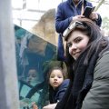 IMG_1497381