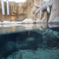 IMG_1497384