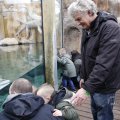 IMG_1497391